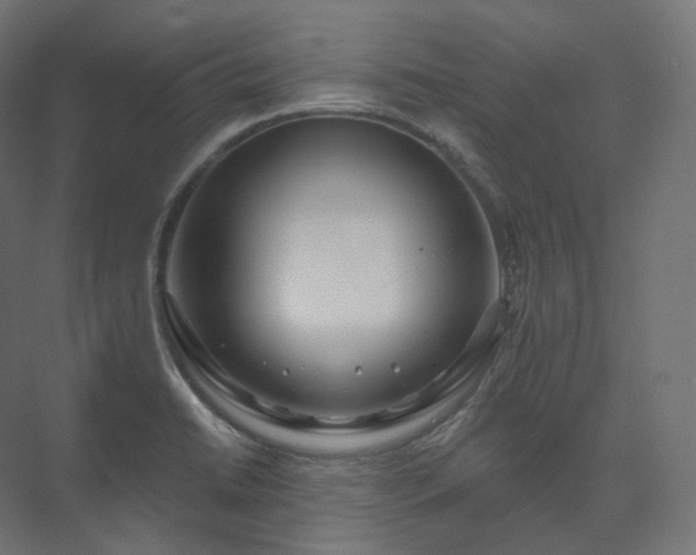 X0000073521422200608071110