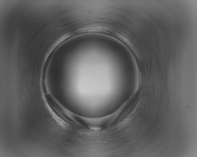 X0000073521426200608071110