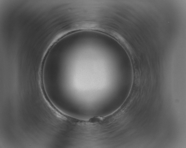 X0000073521432200608071110