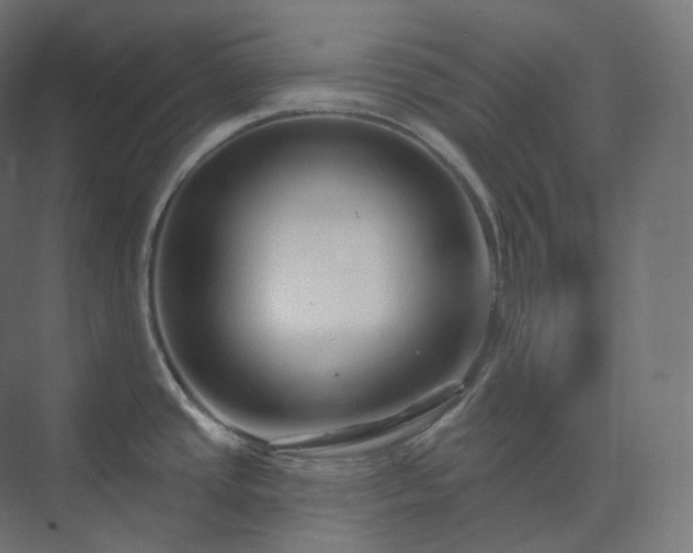 X0000073521437200608071110