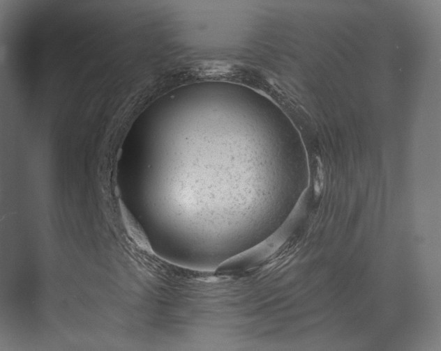 X0000073521441200608071109