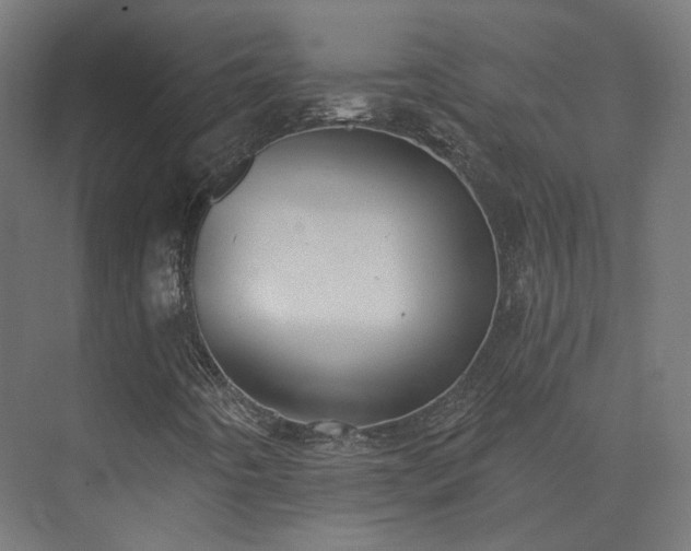 X0000073521442200608071109