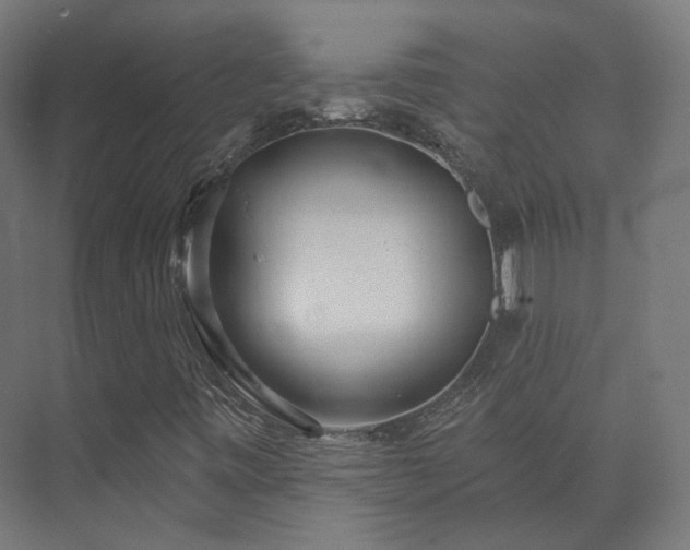 X0000073521443200608071109