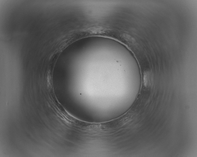 X0000073521444200608071109