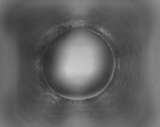 X0000073521445200608071109