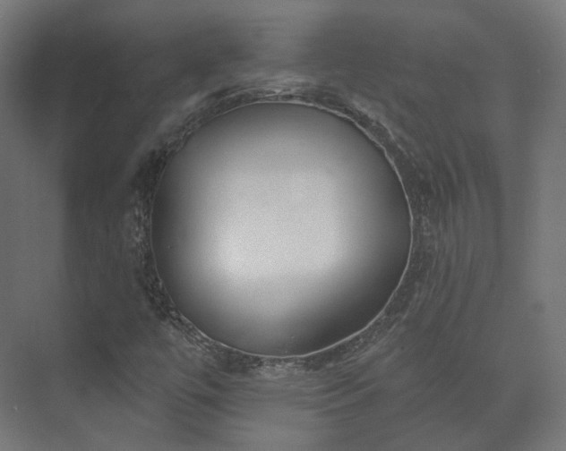 X0000073521447200608071109
