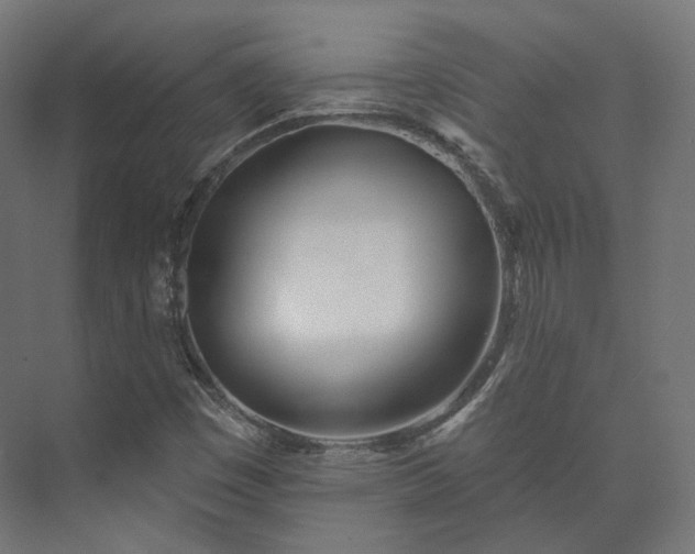 X0000073521449200608071109