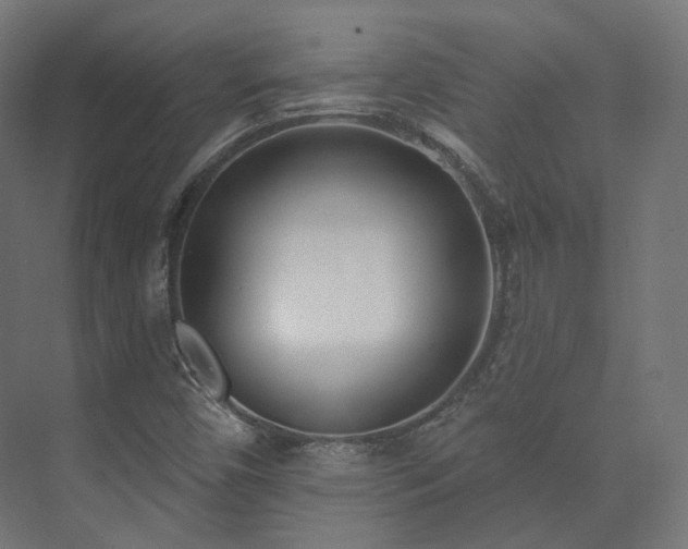 X0000073521450200608071109