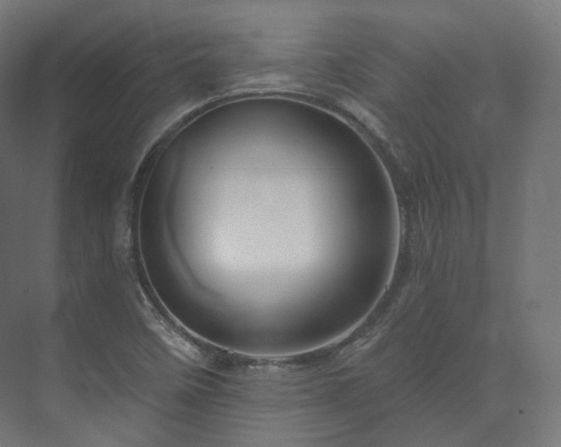 X0000073521458200608071109