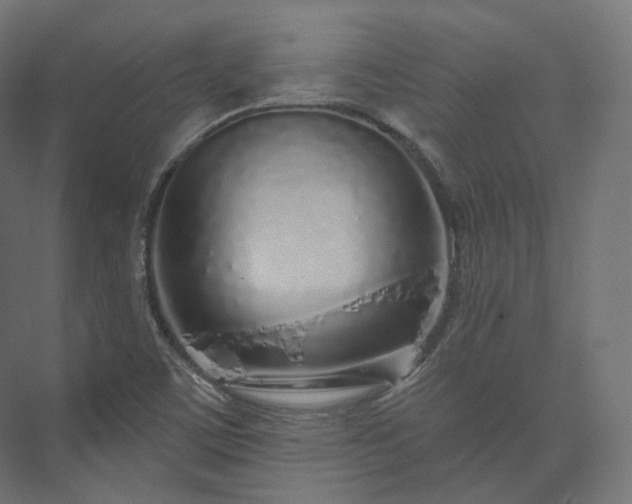 X0000073521459200608071109