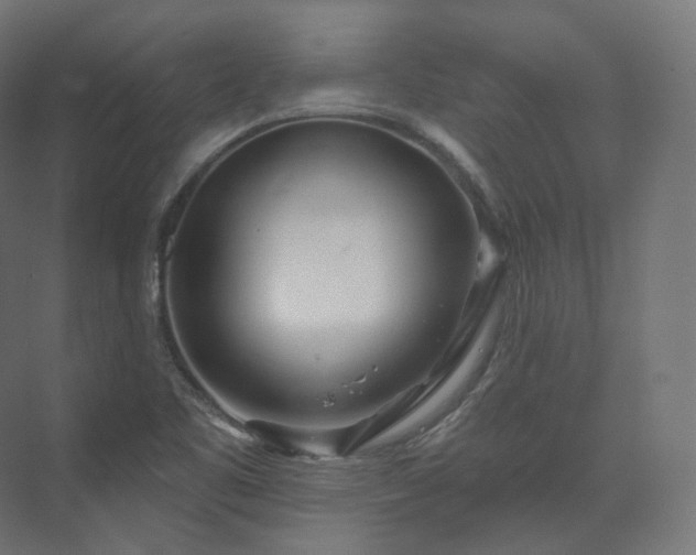 X0000073521461200608071109