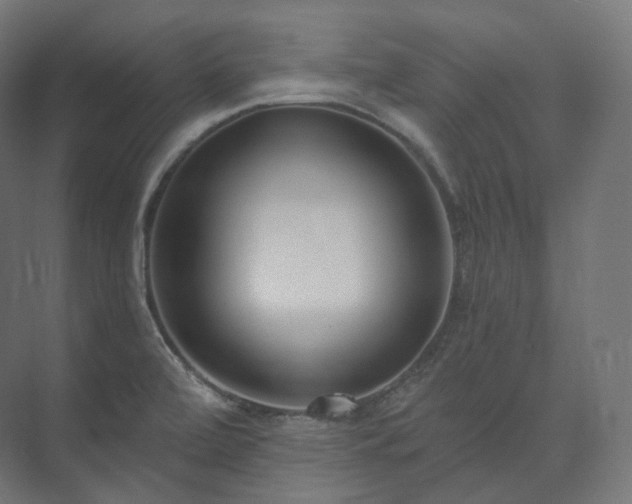 X0000073521472200608071109