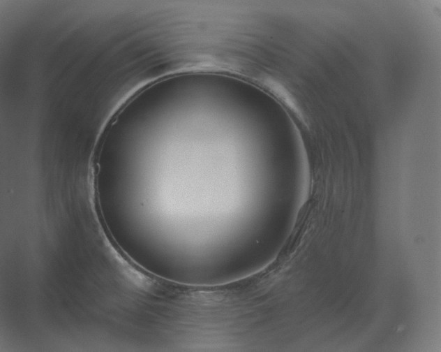 X0000073521476200608071109