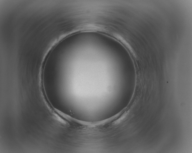 X0000073521477200608071109