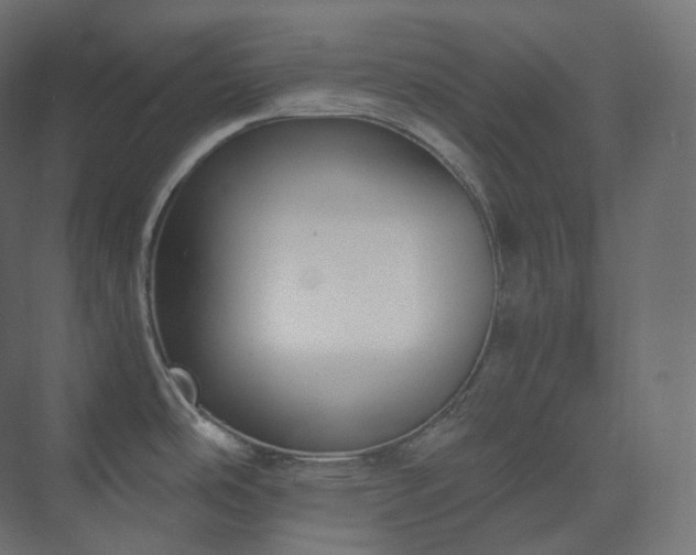 X0000073521486200608071108