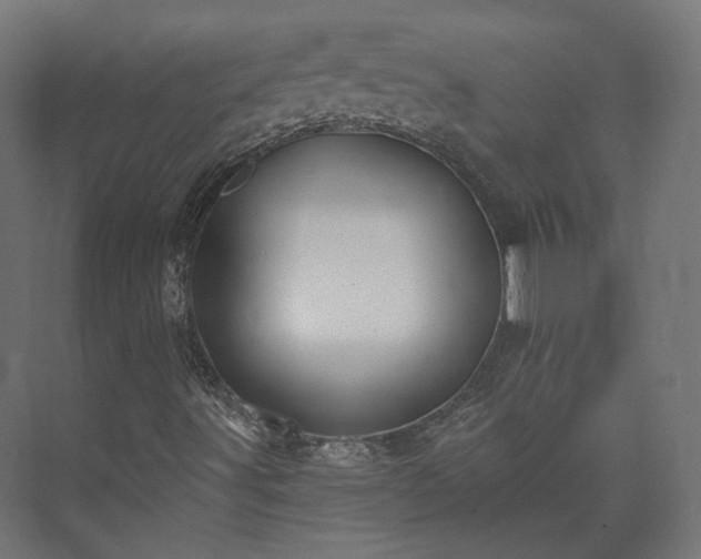 X0000073521491200608071108
