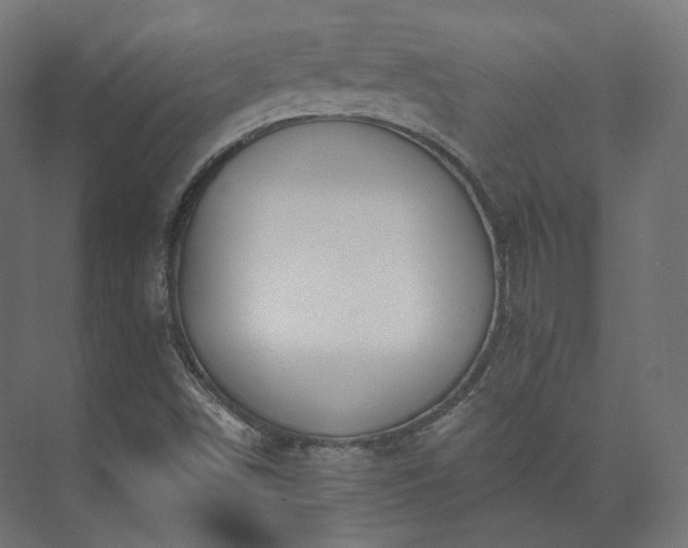 X0000073521498200608071108