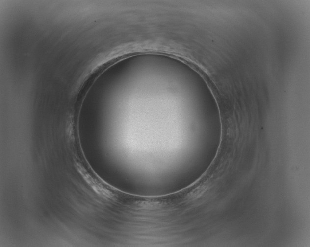 X0000073521499200608071108