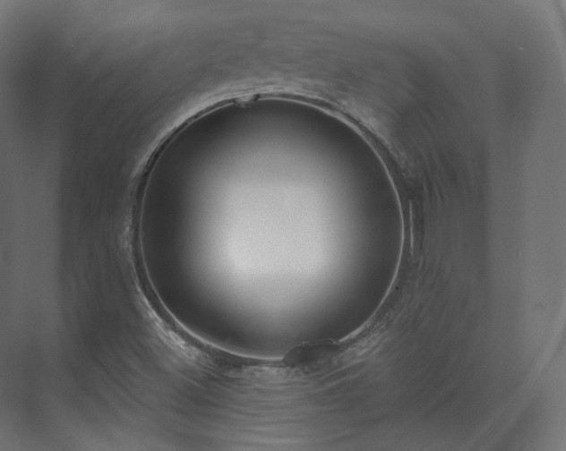 X0000073521500200608071108