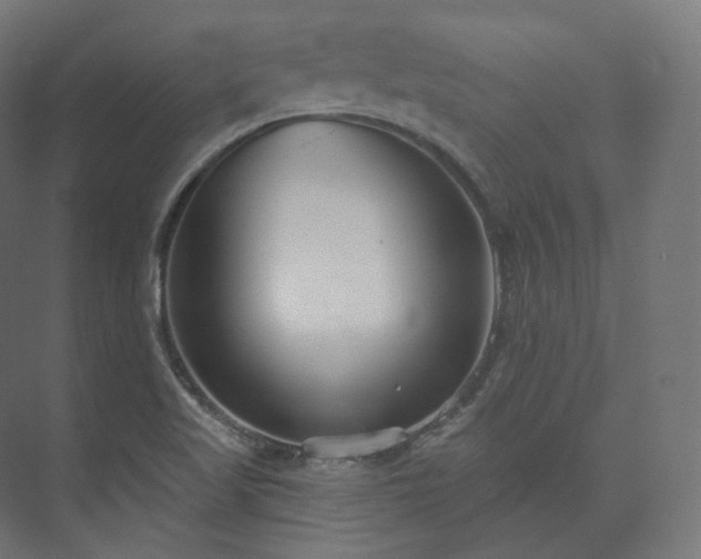 X0000073521509200608071108