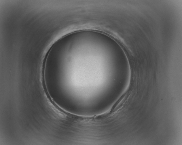 X0000073521512200608071108