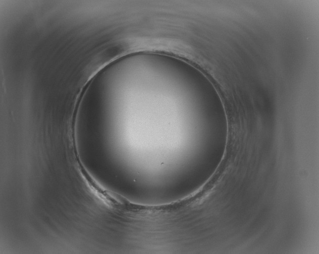 X0000073521521200608071108