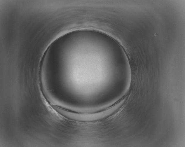 X0000073521534200608071108