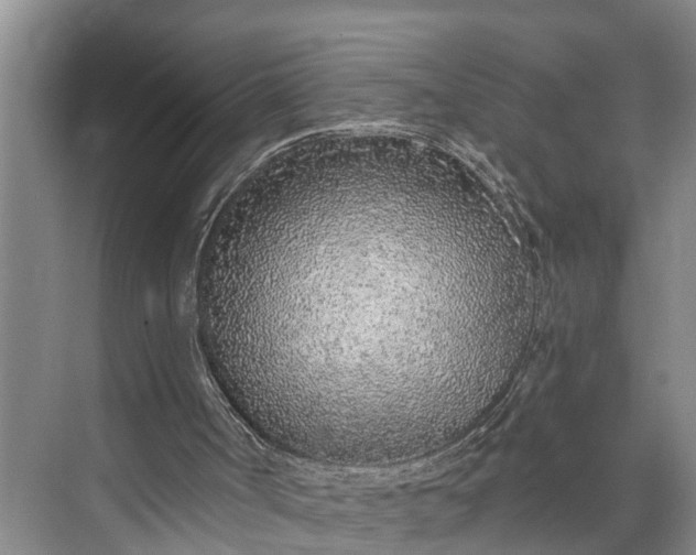 X0000073520002200608141012