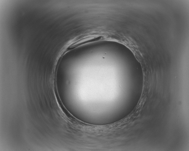 X0000073520003200608141012