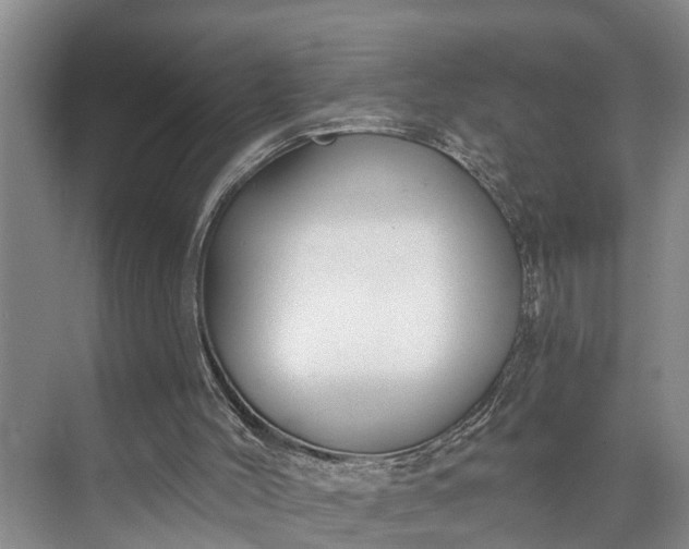 X0000073520004200608141012