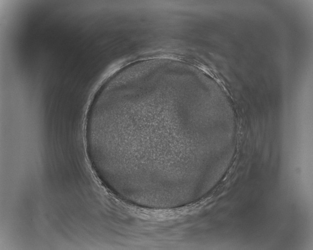 X0000073520006200608141012