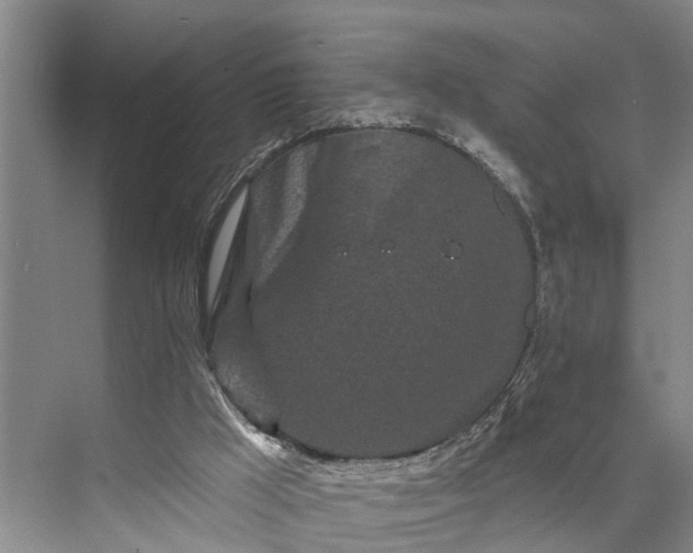 X0000073520009200608141012