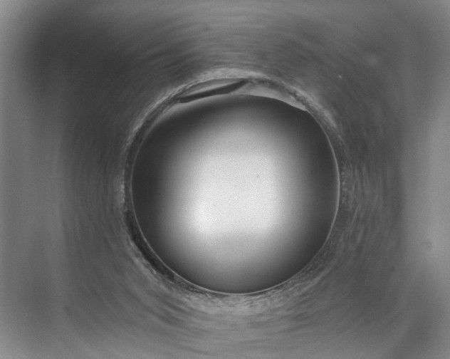 X0000073520015200608141012