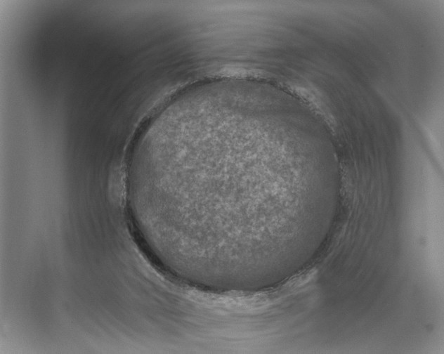 X0000073520016200608141012