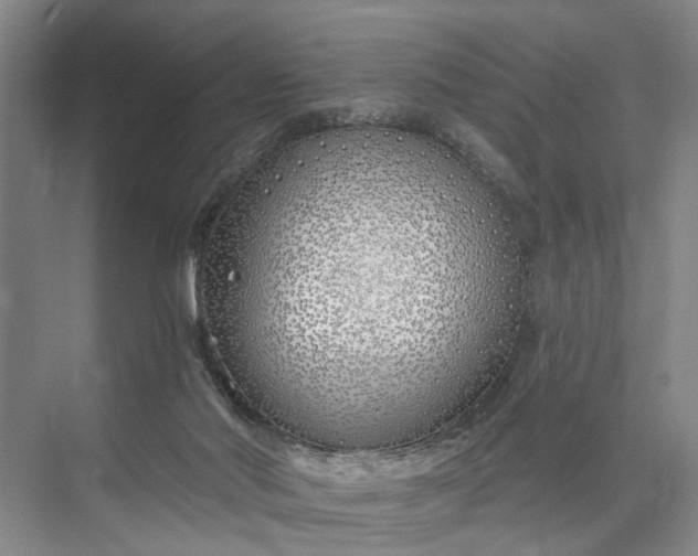 X0000073520022200608141012