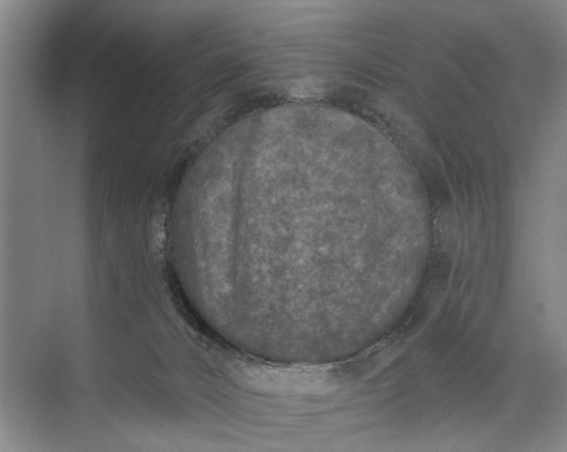 X0000073520032200608141012