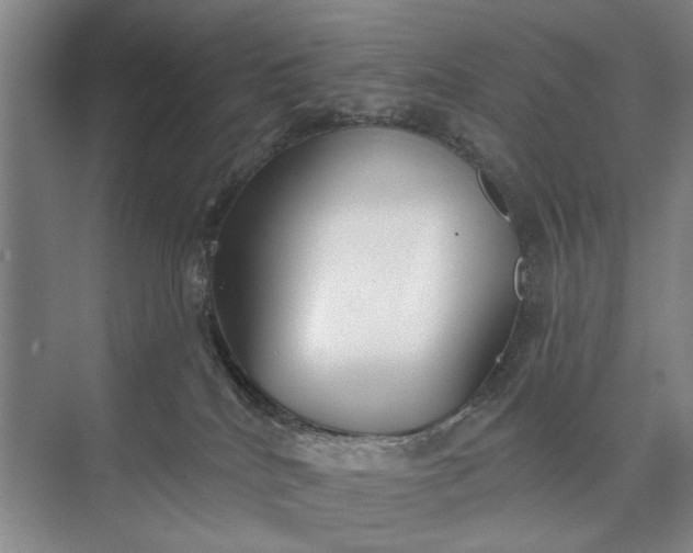 X0000073520040200608141011