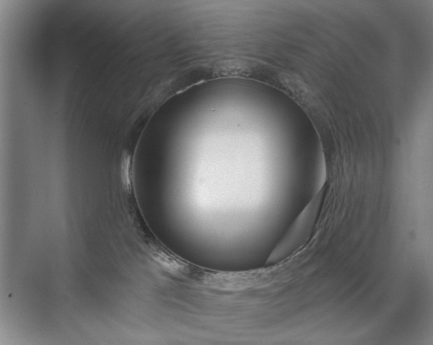 X0000073520041200608141011