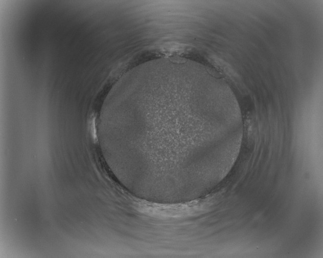 X0000073520042200608141011