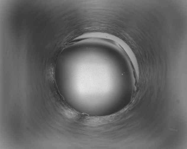 X0000073520045200608141011