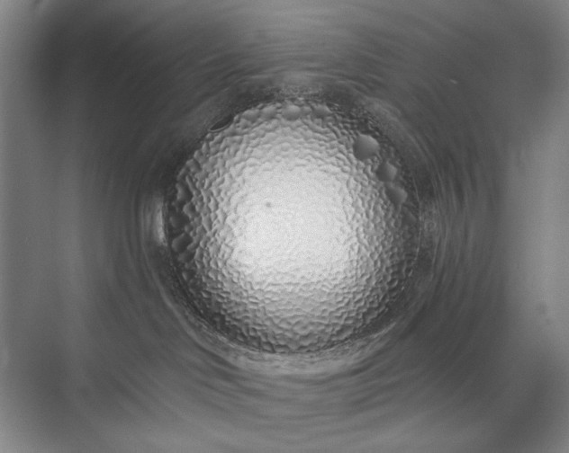 X0000073520046200608141011