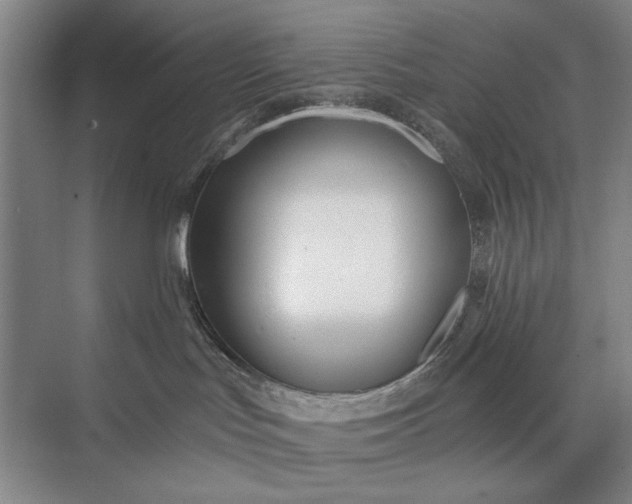 X0000073520047200608141011