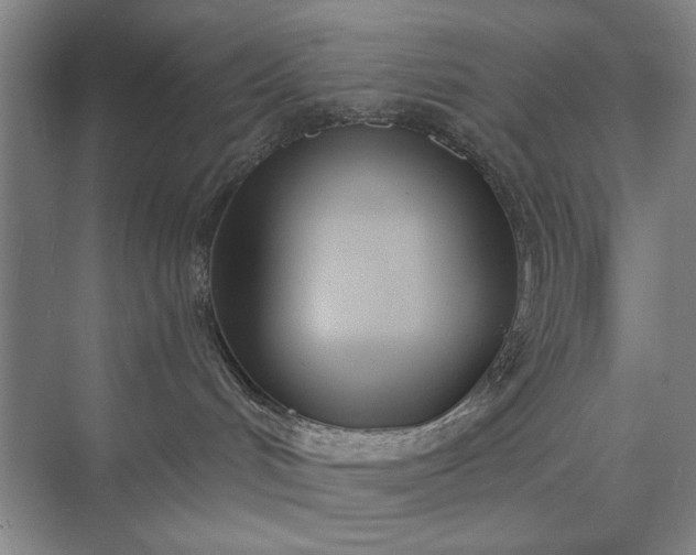 X0000073520048200608141011