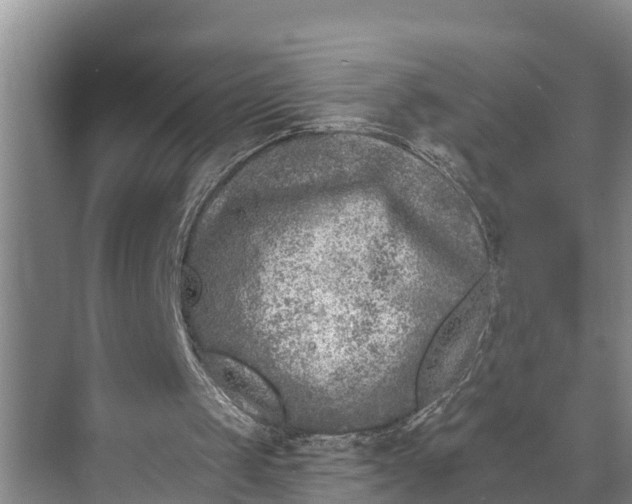 X0000073520049200608141011