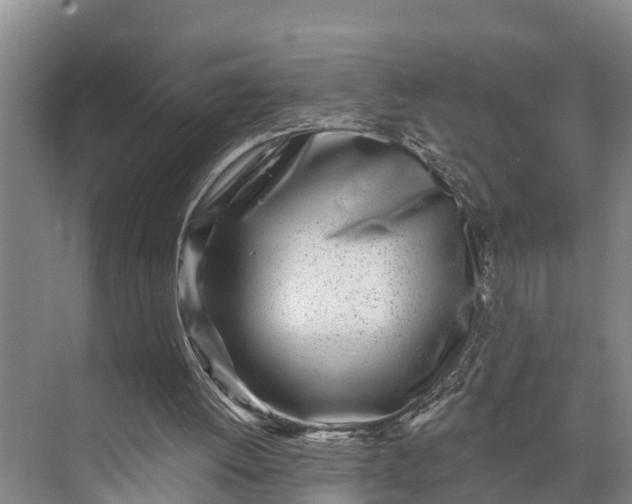 X0000073520052200608141011