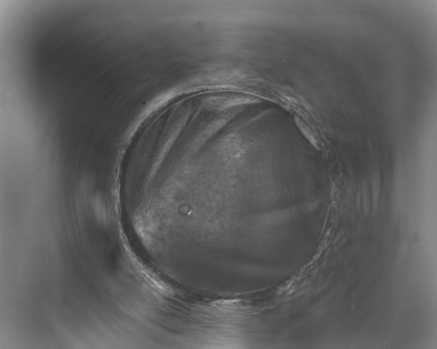 X0000073520054200608141011