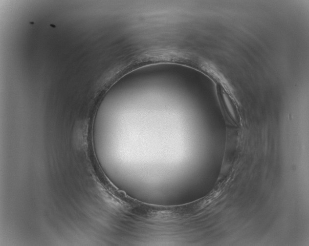 X0000073520058200608141011