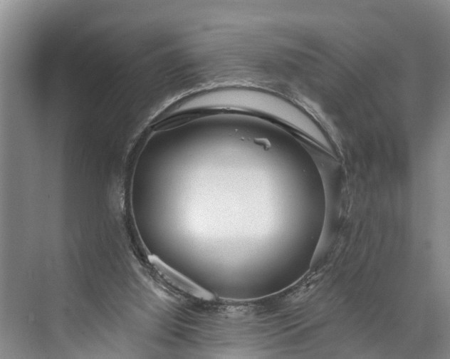 X0000073520060200608141011