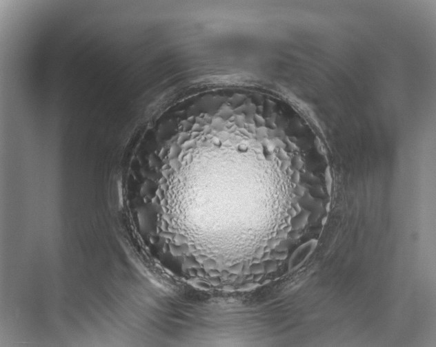 X0000073520061200608141011