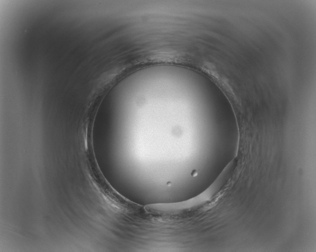 X0000073520062200608141011